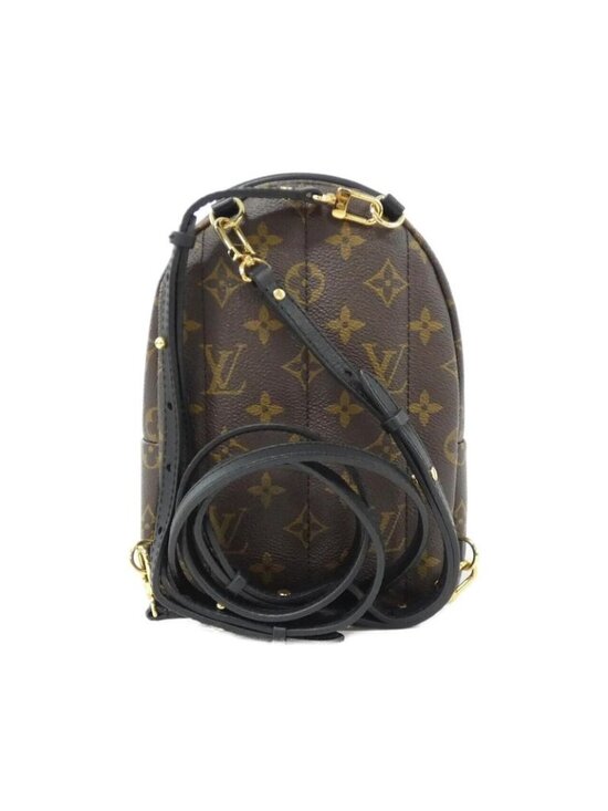 Louis Vuitton Monogram Palm Spring Backpack Mini Sac main image 7